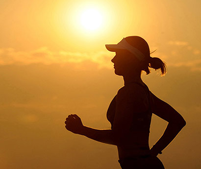 金狮贵宾会文化简述