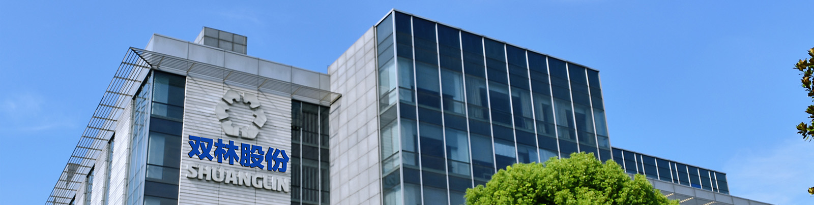 走进金狮贵宾会