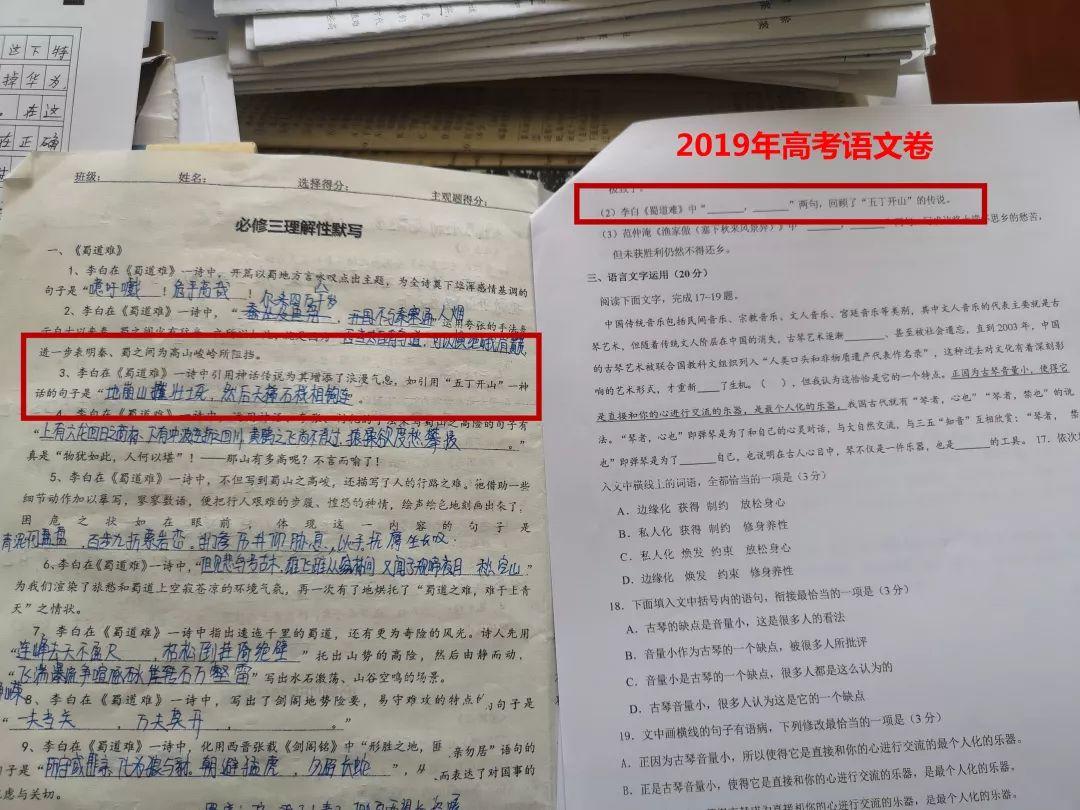 押中高考题、中考题？！best365体育入口中文版都会森林学校学校“硬核”实力圈粉无数！